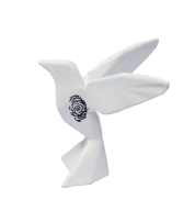 HUELLA DE MAGIA COLIBRI