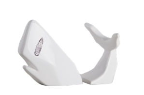 HUELLA DE GRANDEZA BALLENA