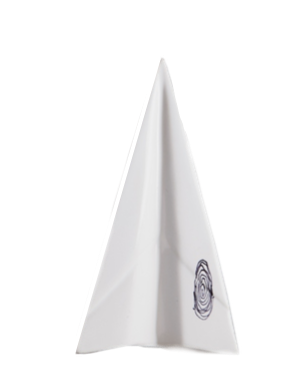 HUELLA DE LIBERTAD AVION