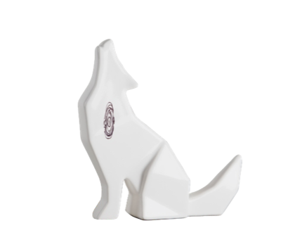 HUELLA DE LLAMADO COYOTE