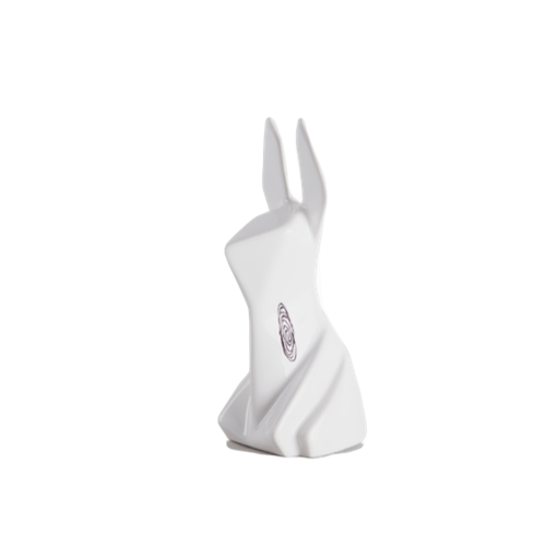 HUELLA SORPRESA CONEJO
