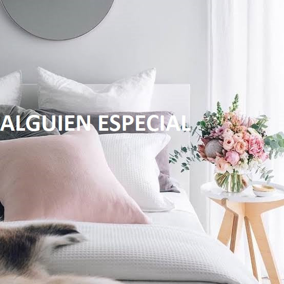 UN ESPACIO PARA ALGUIEN ESPECIAL