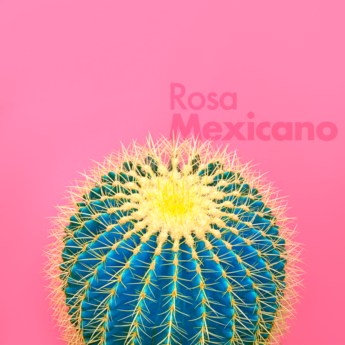 ROSA MEXICANO