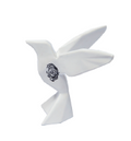 HUELLA DE MAGIA COLIBRI