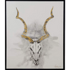 Cuadro Kudu