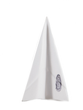 HUELLA DE LIBERTAD AVION