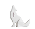 HUELLA DE LLAMADO COYOTE